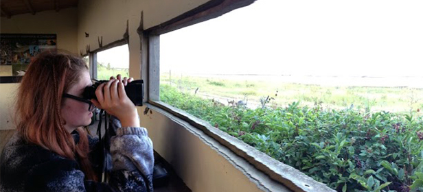 bird-watching-in-the-RSPB-snettisham-beach-bird-reserve